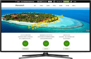 青浦網站建設一站式服務 助力上海企業打造專業線上門戶